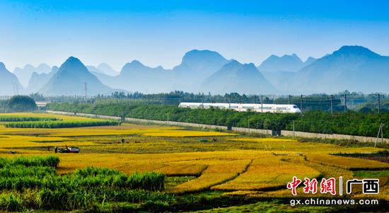 中国富硒农产品排名(富硒农产品品牌)-硒宝网