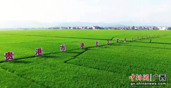 中国富硒农产品排名(富硒农产品品牌)-硒宝网