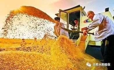 如何把硒产品卖出去(硒药店怎么卖)-硒宝网