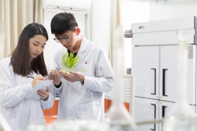 北京硒谷功能农产品(北京硒谷科技)-硒宝网