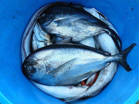 海产品含有丰富的硒(含有丰富海产品硒的食物)-硒宝网