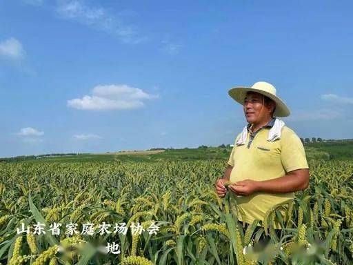 山东富硒农产品农?。ㄉ蕉晃┮悼萍加邢薰荆?硒宝网