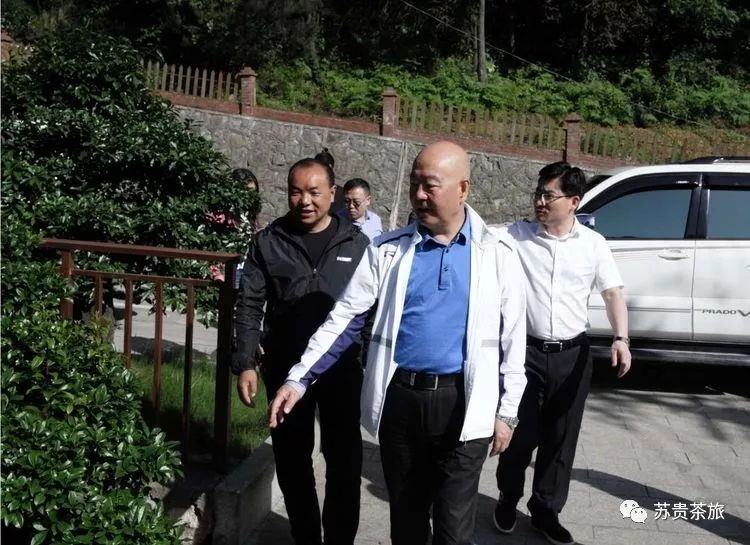 产品市场分析锌硒茶(锌硒茶的特点)-硒宝网