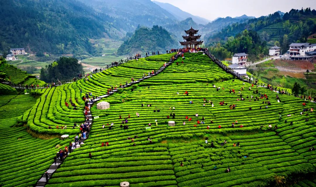 恩施硒都农产品介绍（恩施硒产品）-硒宝网