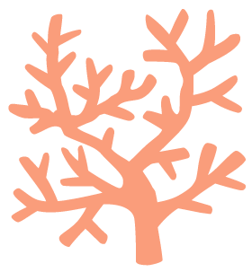 海产品的牡蛎含硒吗（牡蛎含海产品硒含量高吗）-硒宝网