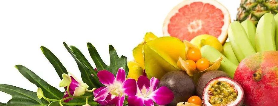 补铁会上火吗(补铁上火)-硒宝网