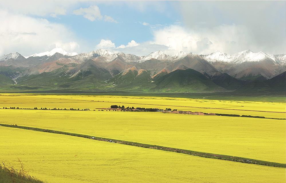 青海富硒农产品种植（青海富硒黑蒜价格）-硒宝网