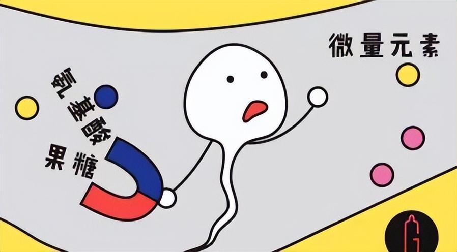 什么海产品含硒量高（含硒量高的食品有哪些）-硒宝网