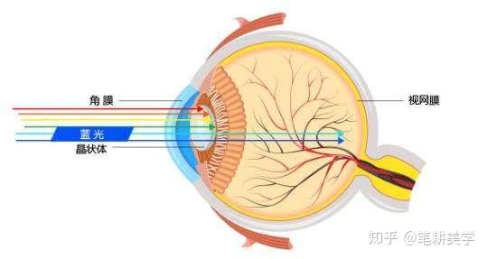 第六代硒产品是什么(硒类产品)-硒宝网
