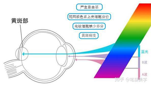第六代硒产品是什么(硒类产品)-硒宝网