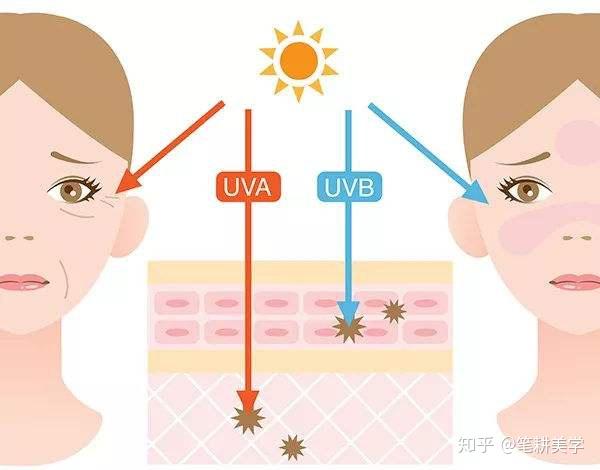 第六代硒产品是什么(硒类产品)-硒宝网