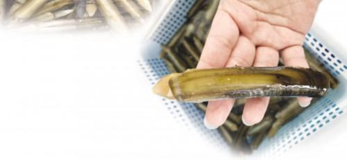 海产品的硒含量高吗(含硒最高海鲜干产品)-硒宝网