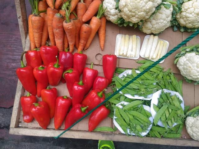 海产品的硒含量高吗(海产品硒含量排行榜)-硒宝网