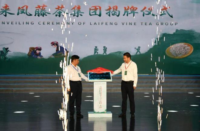 来凤县农产品硒含量（农产品富硒标准）-硒宝网