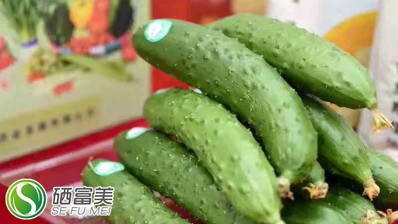 金硒园农副产品作物（农业硒元素）-硒宝网