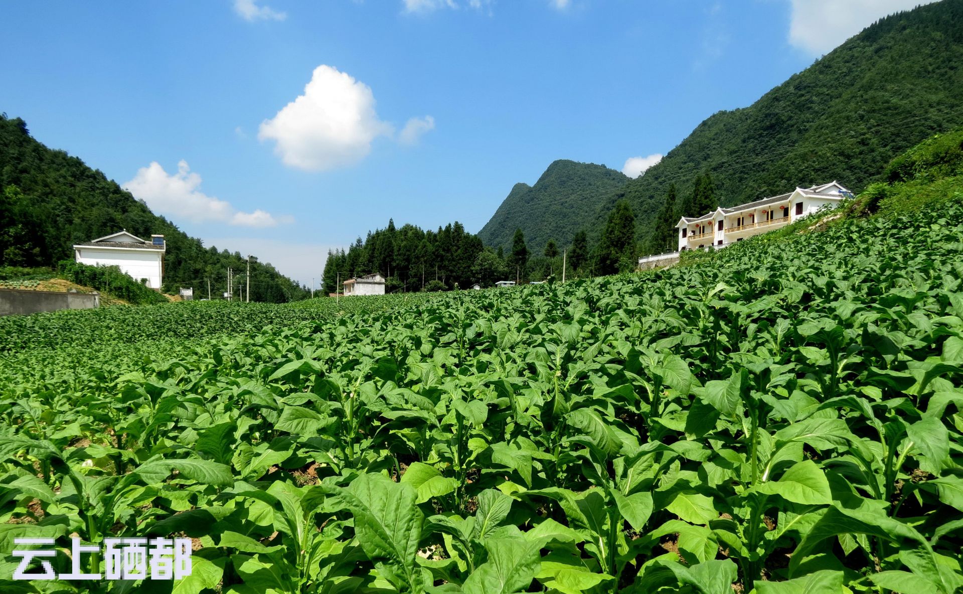 恩施市硒襄农副产品（湖北恩施生产的硒产品怎么样）-硒宝网
