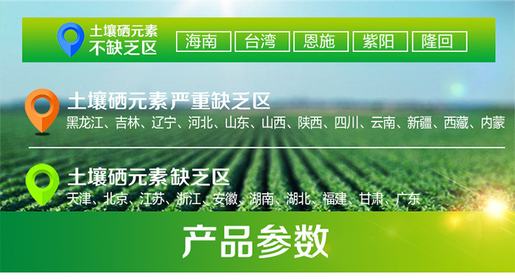 硒维康 硒酵母比较(硒酵母是维生素吗)-硒宝网