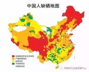 配合硒维康含硒麦芽(硒维康和麦芽硒哪个好)-硒宝网