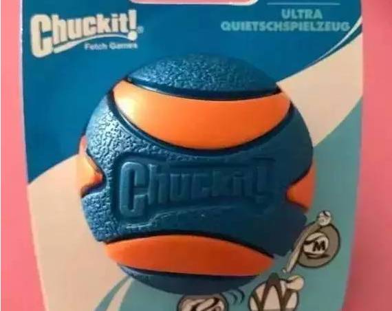 小狗怎么补钙（小狗补钙的最好方法）-硒宝网