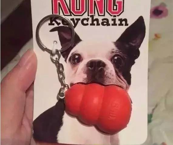 小狗怎么补钙（小狗补钙的最好方法）-硒宝网