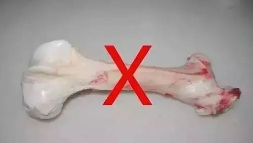 小狗怎么补钙（小狗补钙的最好方法）-硒宝网