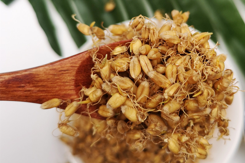 配合硒维康含硒麦芽（硒麦芽配合含维康酸吗）-硒宝网