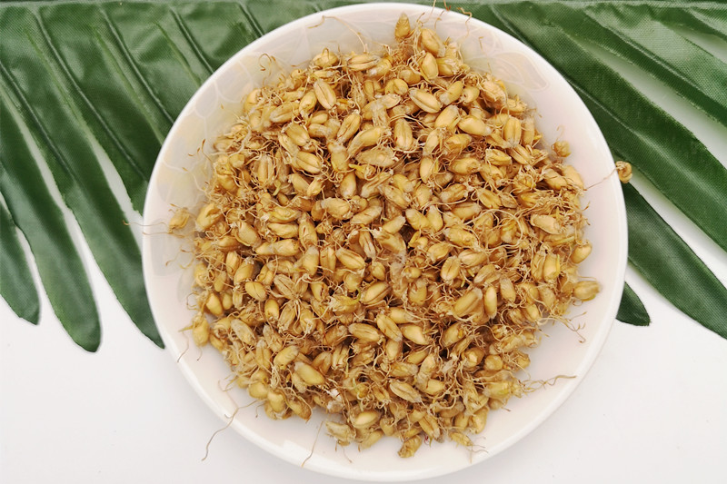 配合硒维康含硒麦芽（硒麦芽配合含维康酸吗）-硒宝网