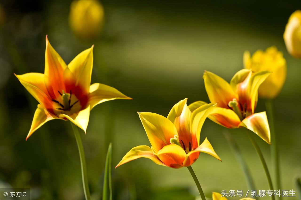 硒维康一盒含多少硒(硒维康有用吗)-硒宝网