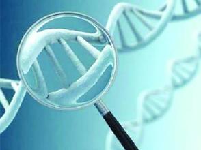 健康人可以吃硒维康（吃健康硒人维康可以喝酒吗）-硒宝网