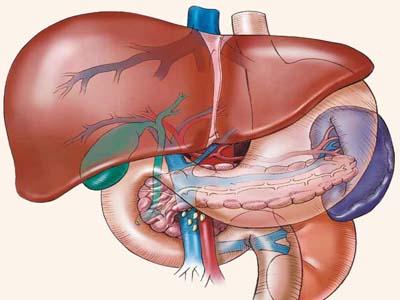没化疗能吃硒维康片(吃硒维康片有副作用吗)-硒宝网