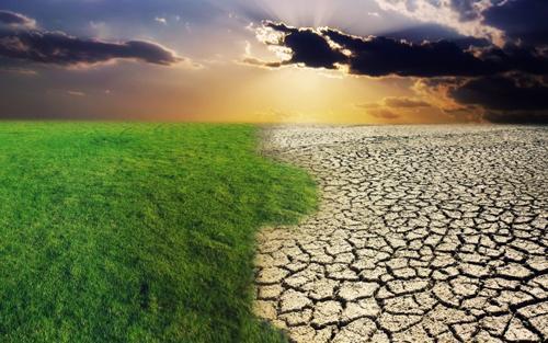 没化疗能吃硒维康片(硒维康可以吞服吗)-硒宝网