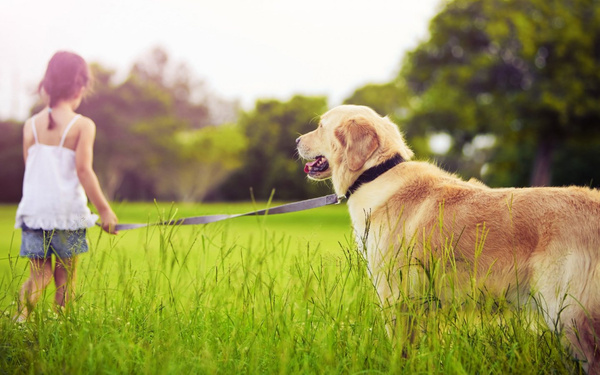 狗狗怎么补充微量元素(狗狗微量补充元素有哪些)-硒宝网