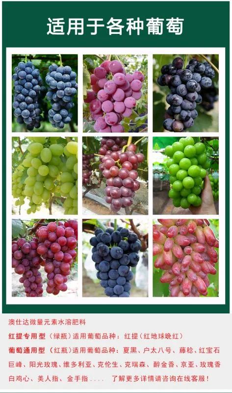 绿维康0有机富硒肥（富硒叶面肥富硒营养液价格）-硒宝网