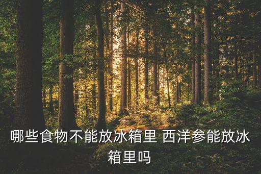 免疫复合剂硒维康片（硒与免疫）-硒宝网