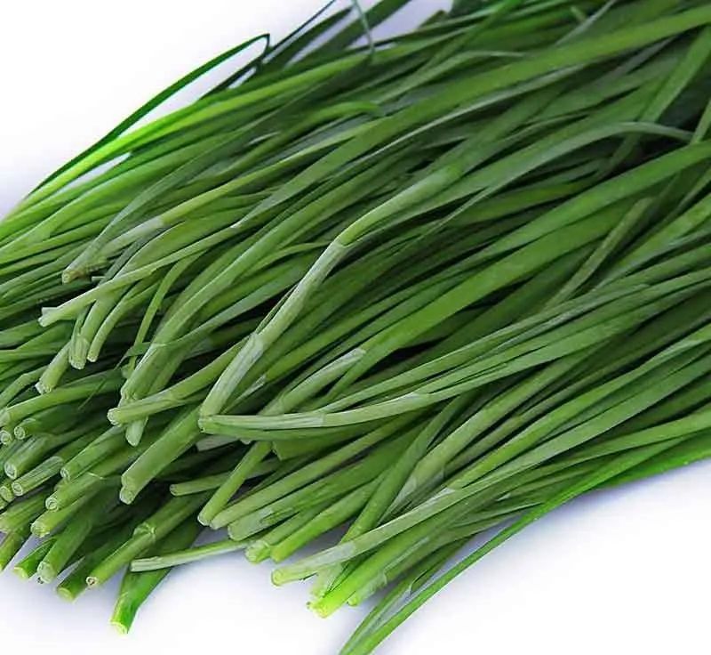 哺乳期妈妈要补钙吗(哺乳补钙期妈妈要忌口吗)-硒宝网