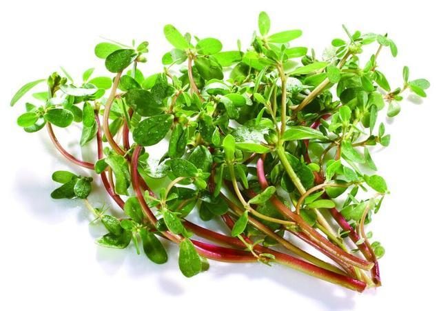 硒维康和什么不能吃（吃硒维康能提高免疫力吗）-硒宝网