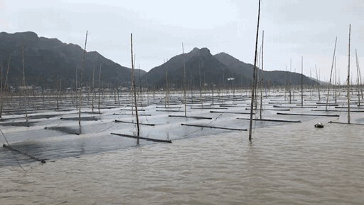 吃什么可以补碘(服碘后吃了含碘盐)-硒宝网