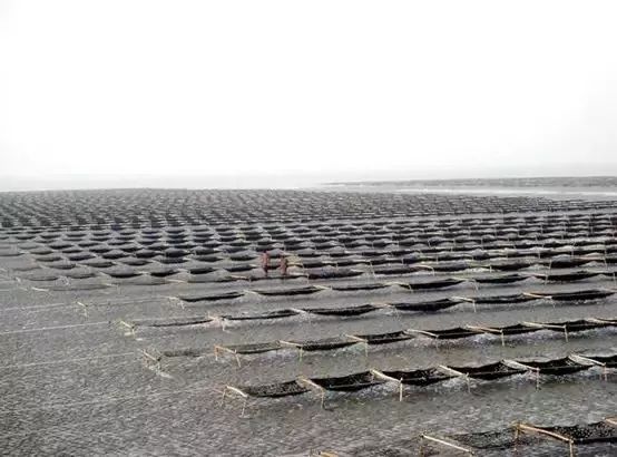 吃什么可以补碘(服碘后吃了含碘盐)-硒宝网