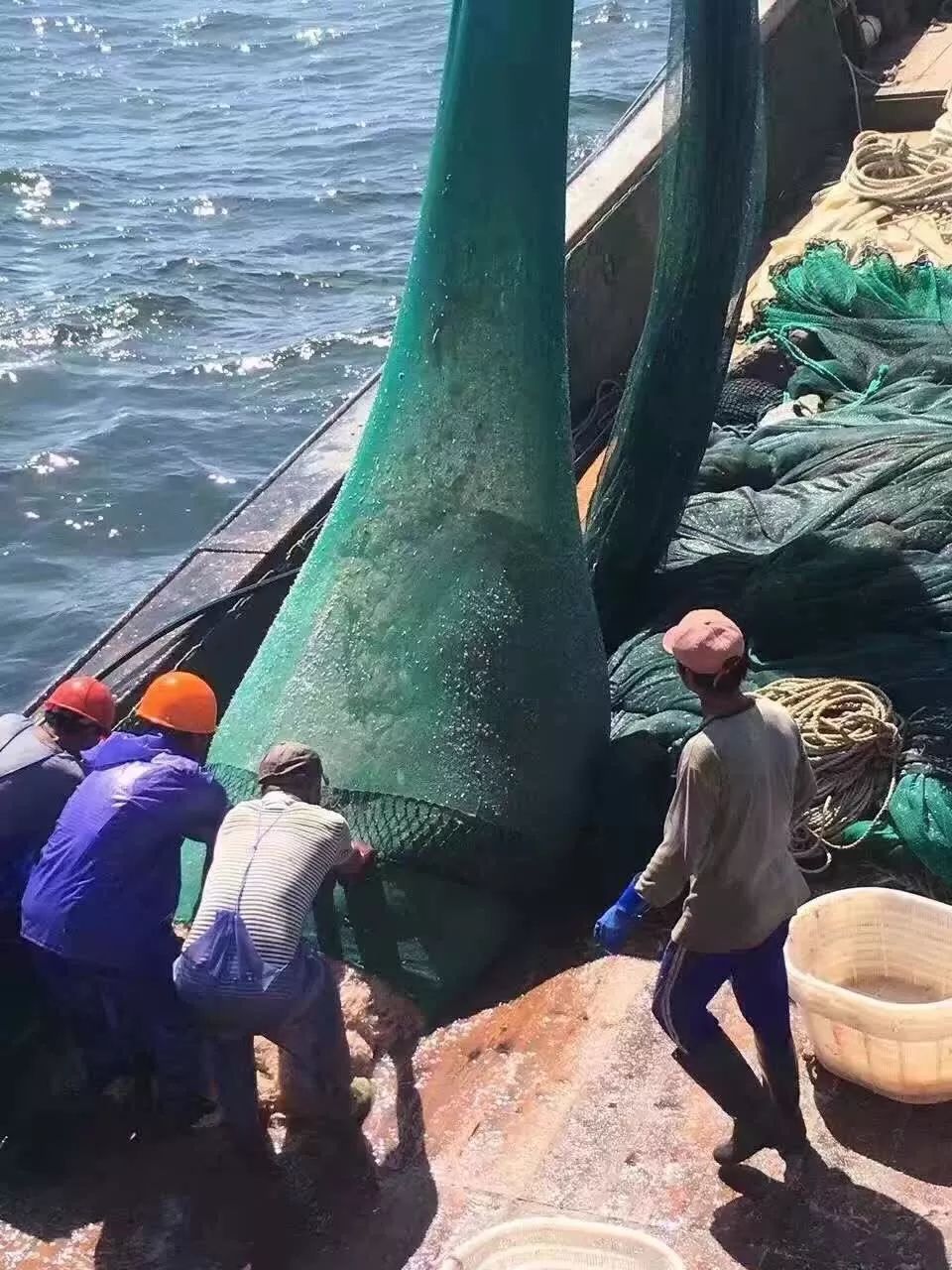 吃什么可以补碘(服碘后吃了含碘盐)-硒宝网