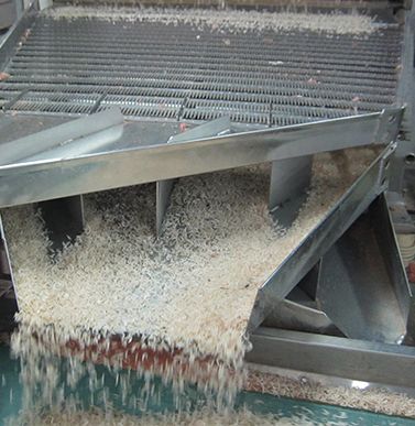 吃什么可以补碘(服碘后吃了含碘盐)-硒宝网