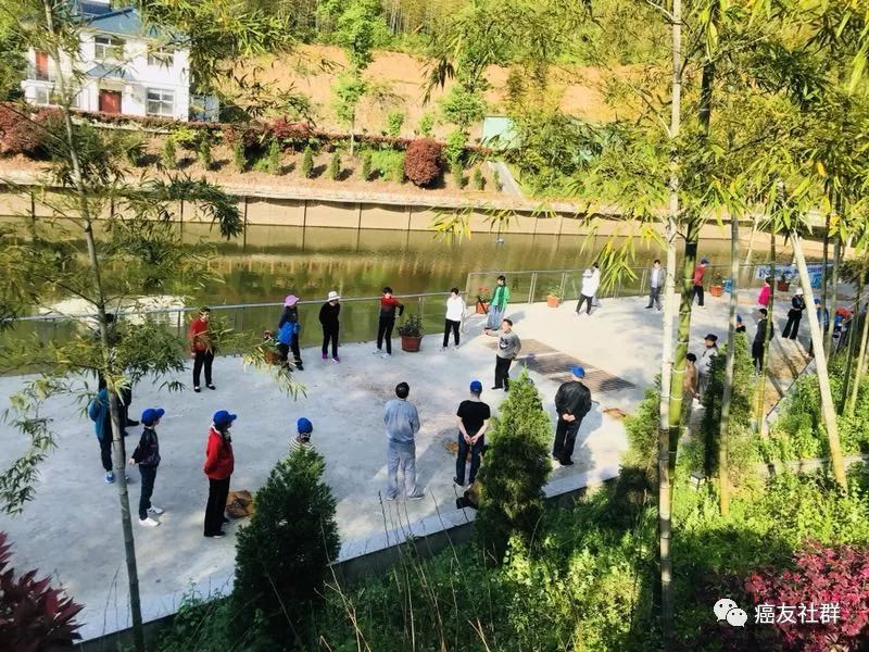 硒维康能改善食欲吗（硒维康能提高免疫力吗）-硒宝网