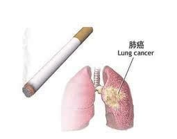 奥硒维康的调理反应(奥硒维康片江西曝光)-硒宝网