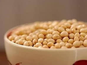 什么豆子含硒维康多(豆类含硒吗)-硒宝网