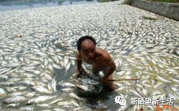 硒维康肝癌可以吃吗（肝癌吃硒维康可以吃多久）-硒宝网