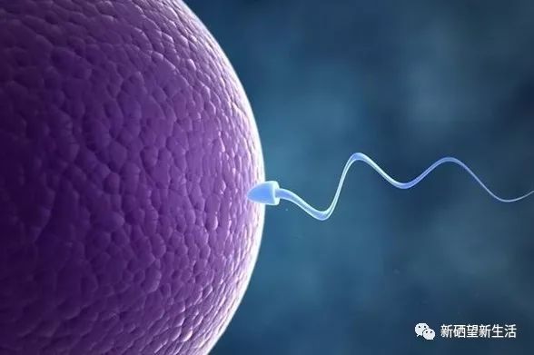 硒维康肝癌可以吃吗（肝癌吃硒维康可以吃多久）-硒宝网