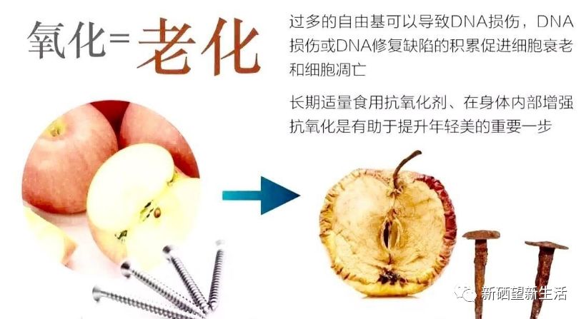 硒维康肝癌可以吃吗（肝癌吃硒维康可以吃多久）-硒宝网