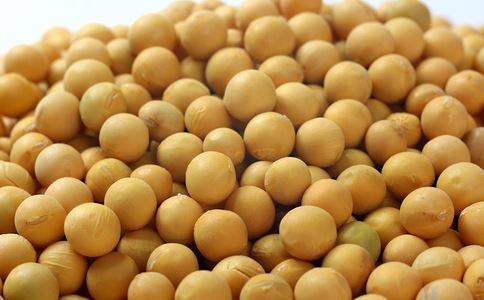 黄豆可以补钙吗（黄豆有补钙的作用吗）-硒宝网