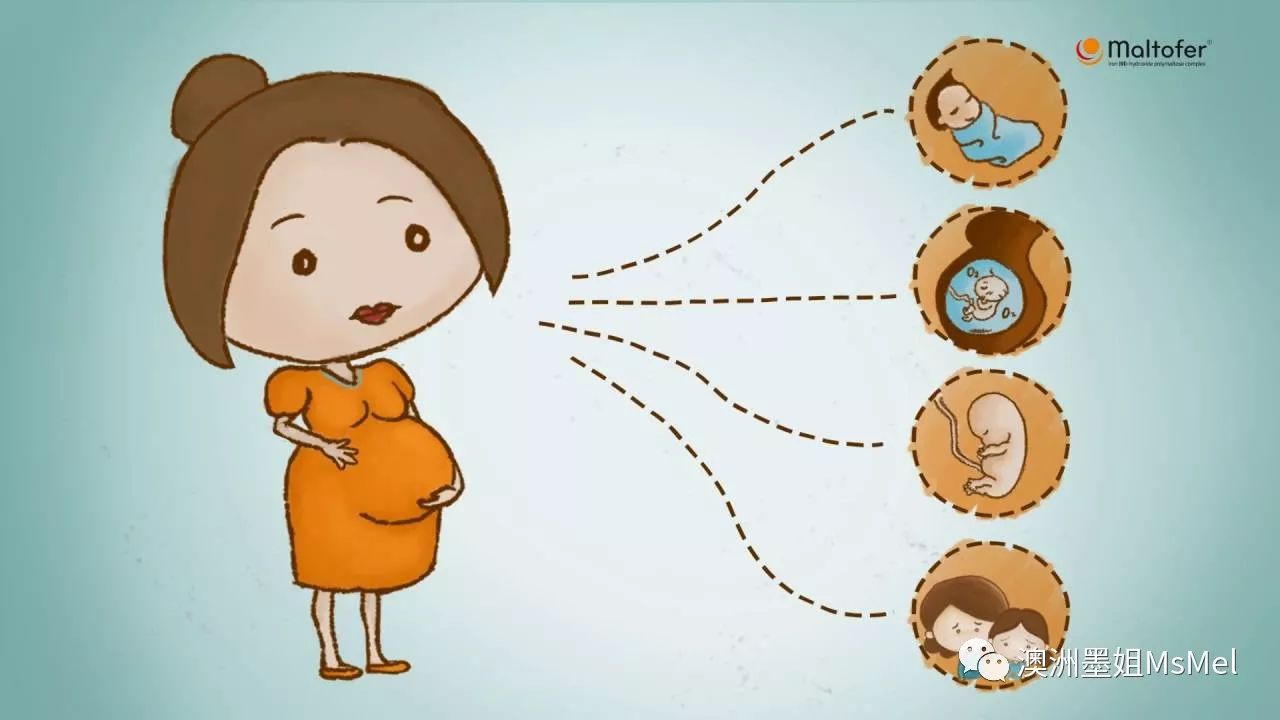 孕妇补铁的药品有哪些（孕妇补铁的药有什么副作用）-硒宝网