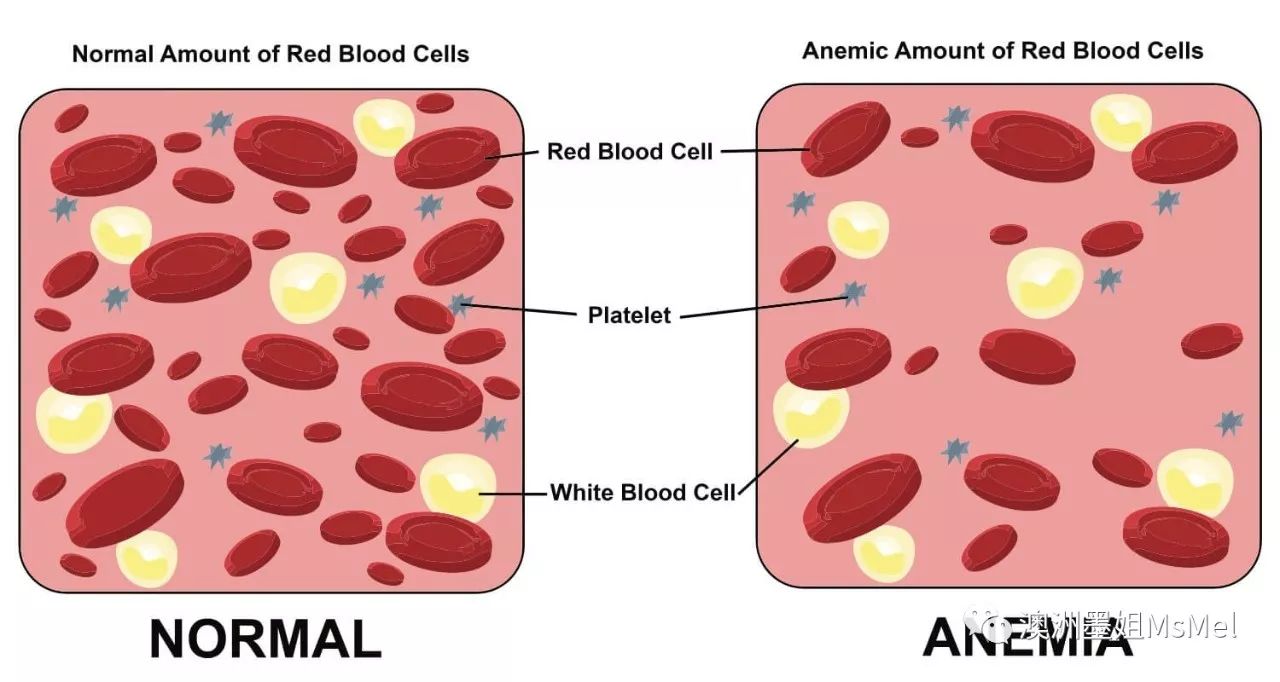 孕妇补铁的药品有哪些（孕妇补铁的药有什么副作用）-硒宝网