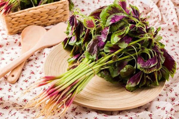 什么食物比较补钙(食物补充钙)-硒宝网